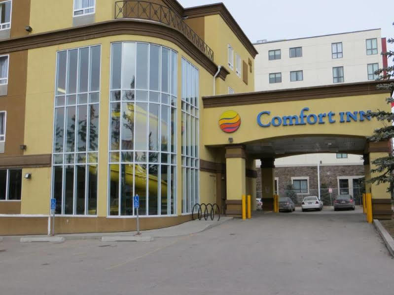 Comfort Inn & Suites University Калгари Экстерьер фото